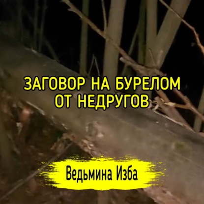 ЗАГОВОР НА БУРЕЛОМ. ОТ НЕДРУГОВ. ДЛЯ ВСЕХ. ВЕДЬМИНА ИЗБА  ИНГА ХОСРОЕВА