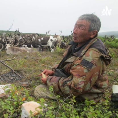 Прирожденный убийца