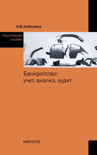 Надежда Васильевна Кобозева — Банкротство: учет, анализ, аудит