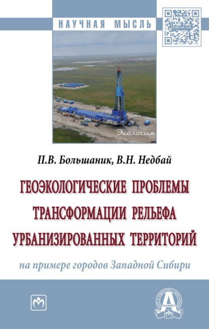 Петр Владимирович Большаник — Геоэкологические проблемы трансформации рельефа урбанизированных территорий (на примере городов Западной Сибири)