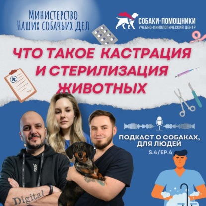 Мифы и реальность о кастрации и стерилизации