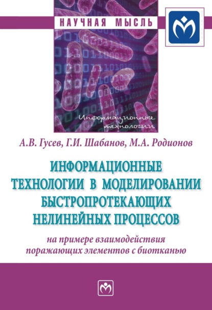 Андрей Владимирович Гусев — Информационные технологии в моделировании быстропротекающих нелинейных процессов (на примере взаимодействия поражающих элементов с биотканью)