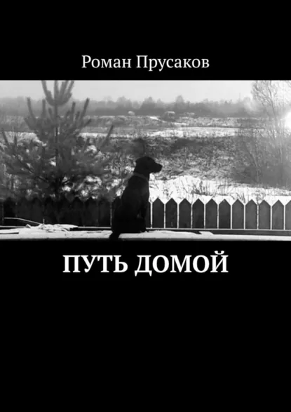 Обложка книги Путь домой, Роман Прусаков
