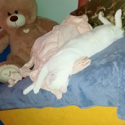 КаРтавые новости