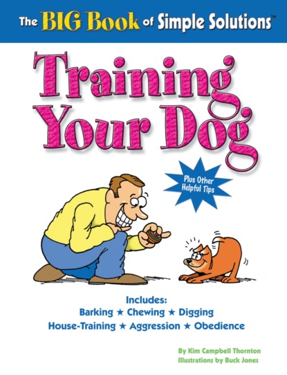 The Big Book of Simple Solutions