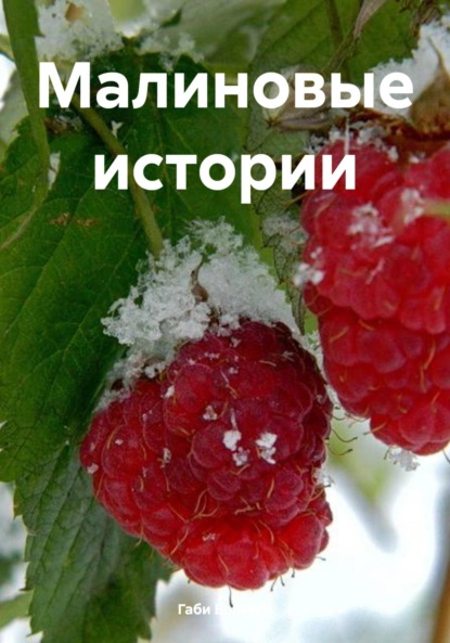 Габи Бользен — Малиновые истории