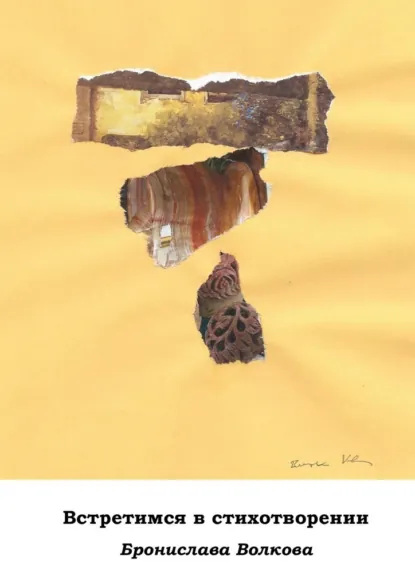 Обложка книги Встретимся в стихотворении, Бронислава Волкова