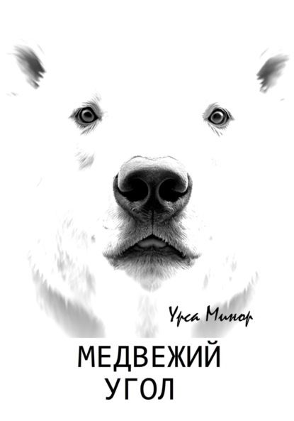 

Медвежий угол