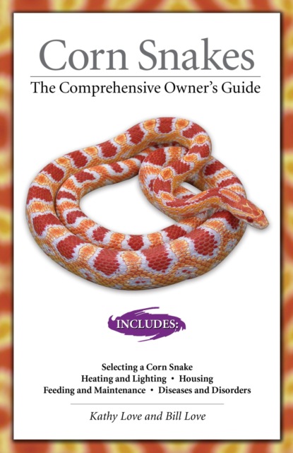 Corn Snakes