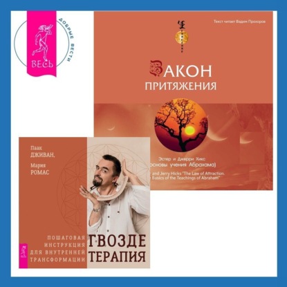 

Закон притяжения. Гвоздетерапия. Пошаговая инструкция для внутренней трансформации