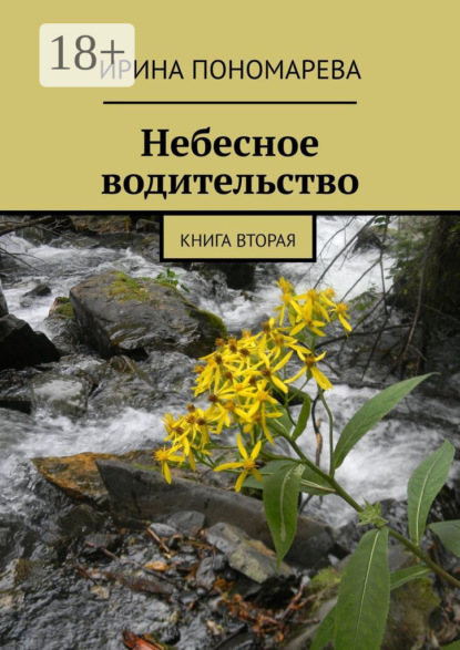 

Небесное водительство. Книга вторая