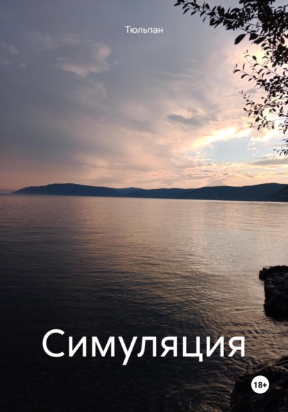 

Симуляция