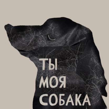 Ты моя собака