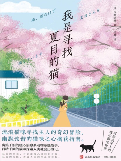 我是寻找夏目的猫