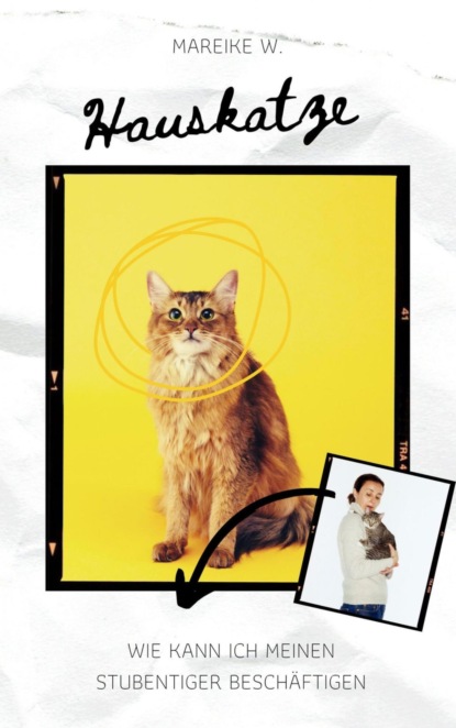 Hauskatze