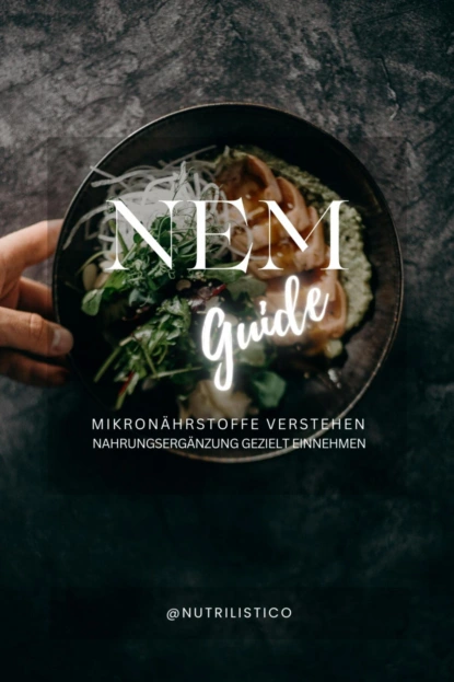 NEM-Guide