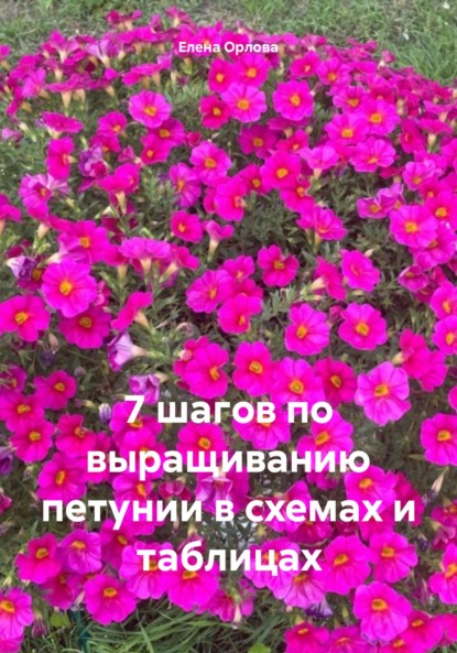 

7 шагов по выращиванию петунии в схемах и таблицах