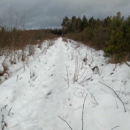 100 фактов о жизни и бизнесе. Часть 4. Факты 36-40