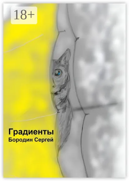Обложка книги Градиенты, Сергей Бородин