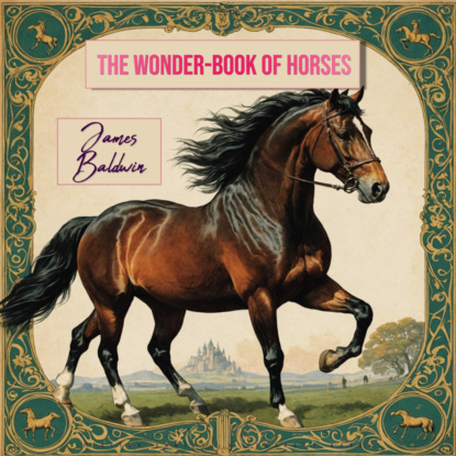 The Wonder-Book of Horses