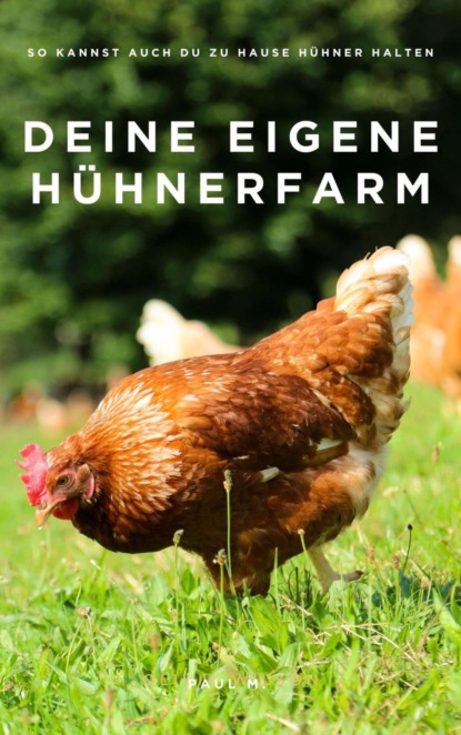 Deine eigene Hühnerfarm