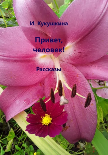Обложка книги Привет, человек! Рассказы, Ирина Анатольевна Кукушкина