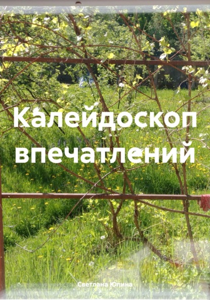 

Калейдоскоп впечатлений