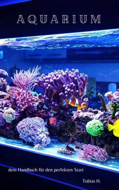 Aquarium - dein Handbuch für den perfekten Start