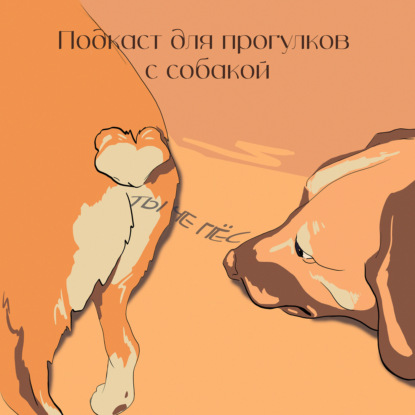 Коммуникация: почему люди никогда не поймут друг друга на 100%?