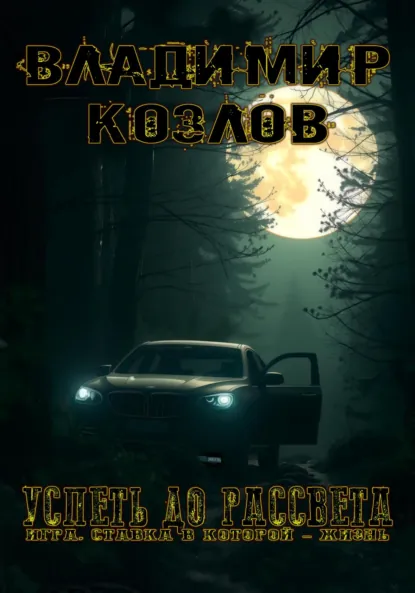 Обложка книги Успеть до рассвета, Владимир Олегович Козлов