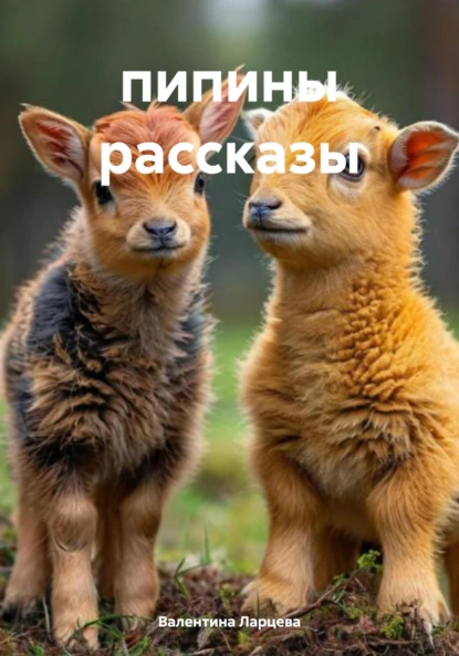 Обложка книги пипины рассказы, Валентина Игоревна Ларцева