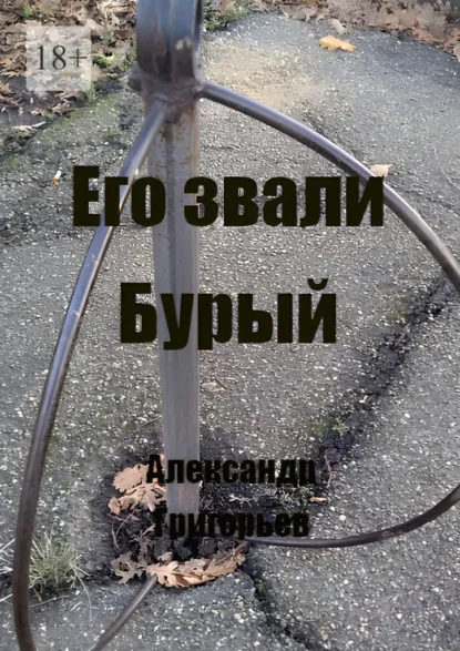 Обложка книги Его звали Бурый, Александр Григорьев