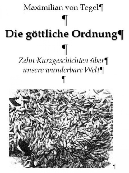 Die Göttliche Ordnung
