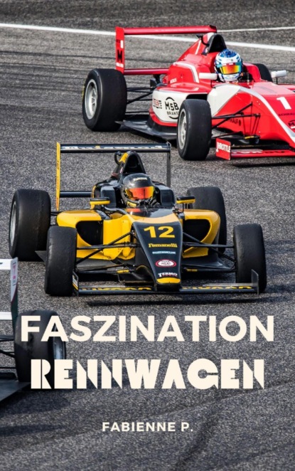 Faszination Rennwagen