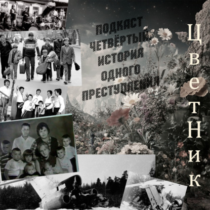 ЦветНик - Подкаст Четвертый. История одного преступления. Семь Симеонов