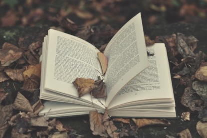 Стефан Цвейг. "Жгучая тайна" (часть 3)