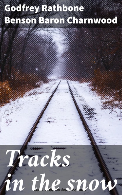 Tracks in the snow