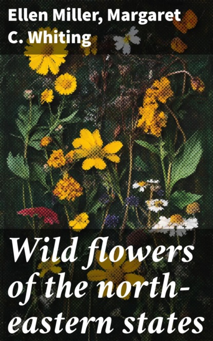Wild flowers of the north-eastern states