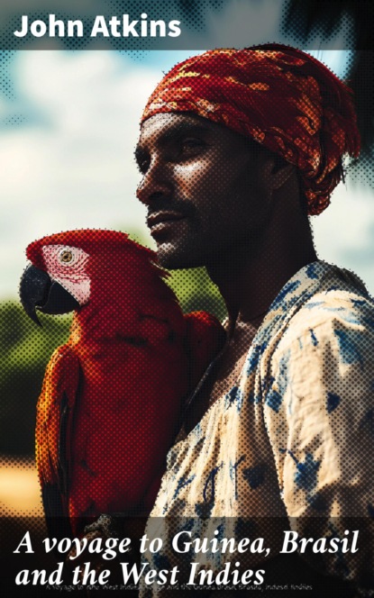 A voyage to Guinea, Brasil and the West Indies