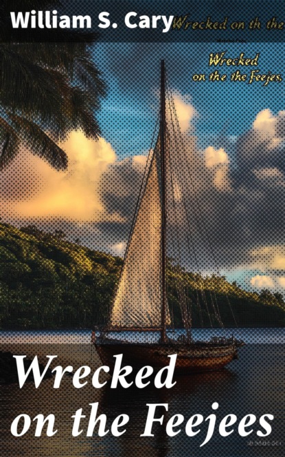 Wrecked on the Feejees