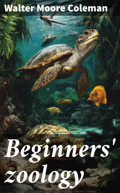 Beginners' zoology