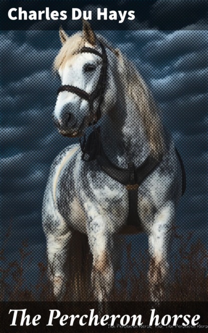 The Percheron horse