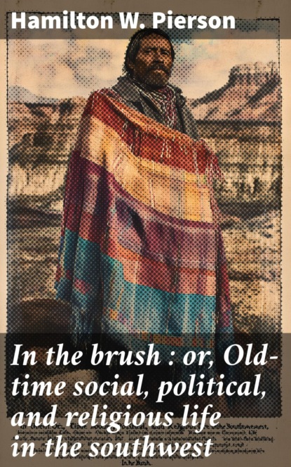 In the brush : or, Old-time social, political, and religious life in the southwest