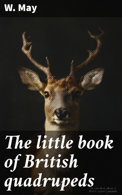 The little book of British quadrupeds