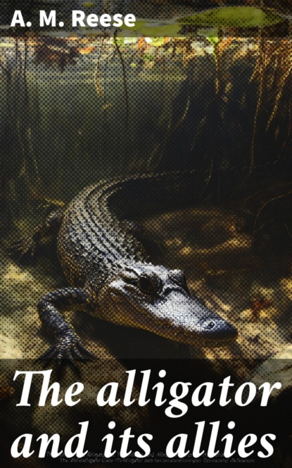 The alligator and its allies