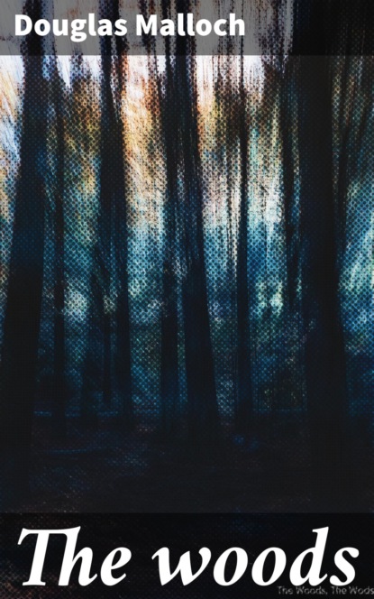 The woods