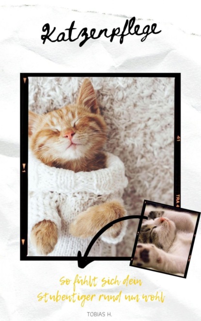 Katzenpflege - so fühlt sich dein Stubentiger rund um wohl