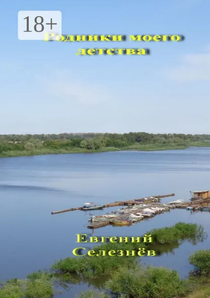 Обложка книги Родники моего детства. Легенды Нижнего Поволжья, Евгений Михайлович Селезнёв