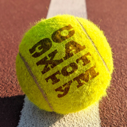 «Бесконечная шутка» Д.Ф.Уоллес — встреча 8 (стр 332 "Старший брат Хэла Орин Инканденца.." до стр 377 "во мраке ночи американовой пустыни"+ сноски 93-119)