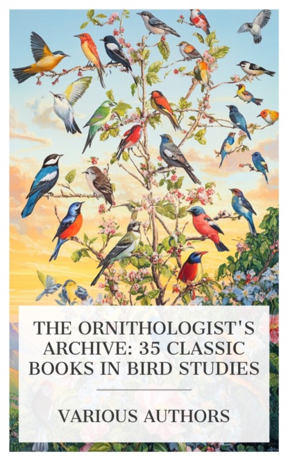 The Ornithologist's Archive: 35 Classic Books in Bird Studies